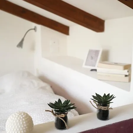 Apartmán Modern Loft In The Heart Of Camaiore
